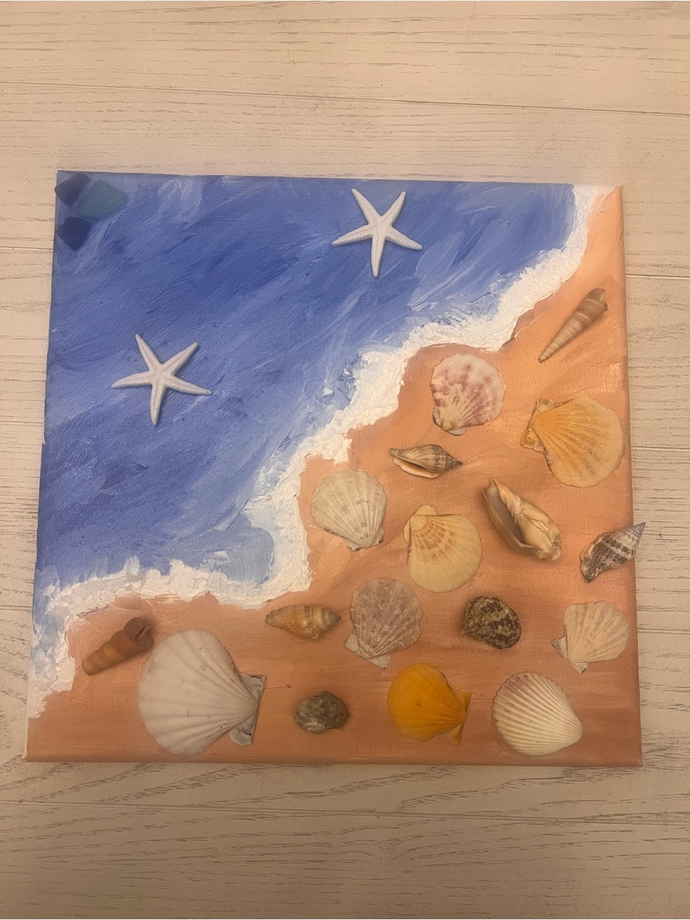 Coastal Themed Seashell Starfish Canvas Wall Art 12”x12”